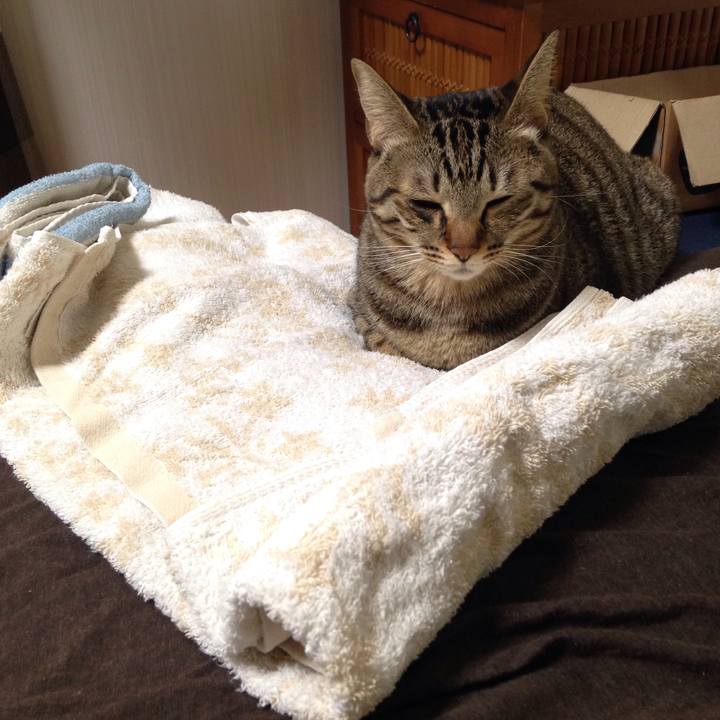 83a3db9f 656a 40f5 8efd d78b7a2fe33e 1512985004981