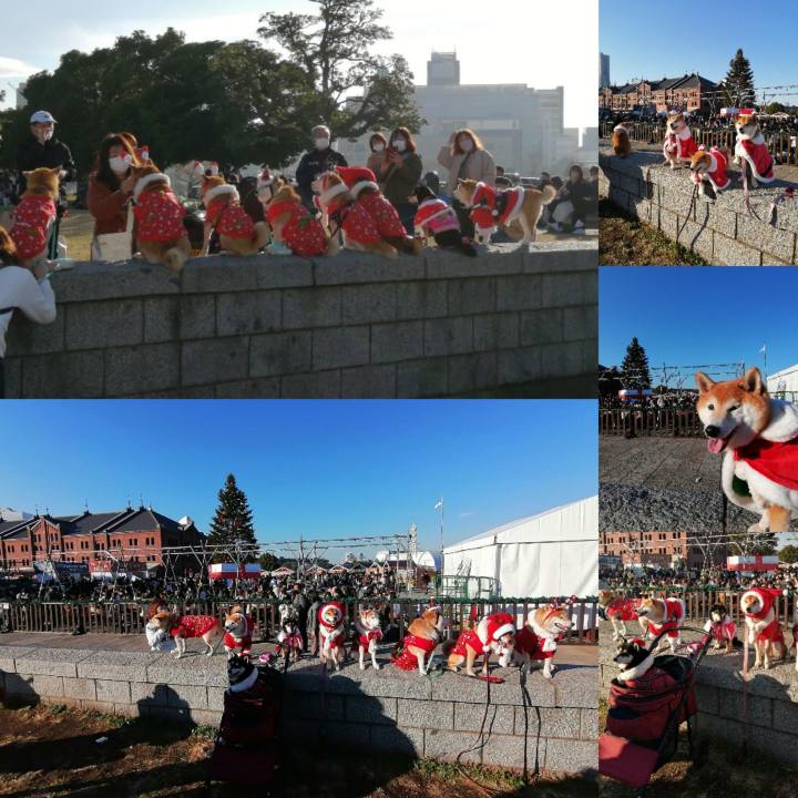 83a3ed5d 4d0c 439c 8830 e11571c1bf8f 1639364823678