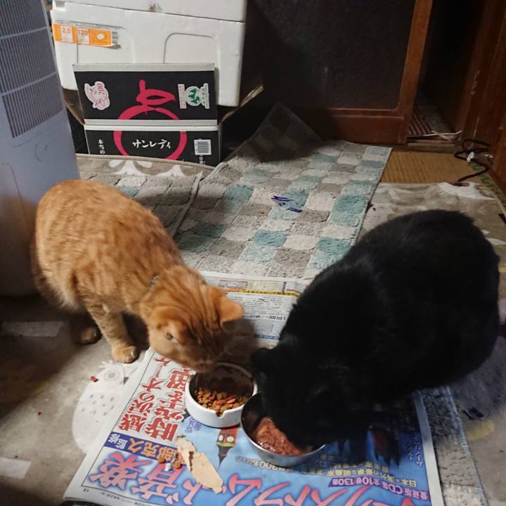 83a3f41b aea9 450e 9dbd 2abec865efca 1649886537620