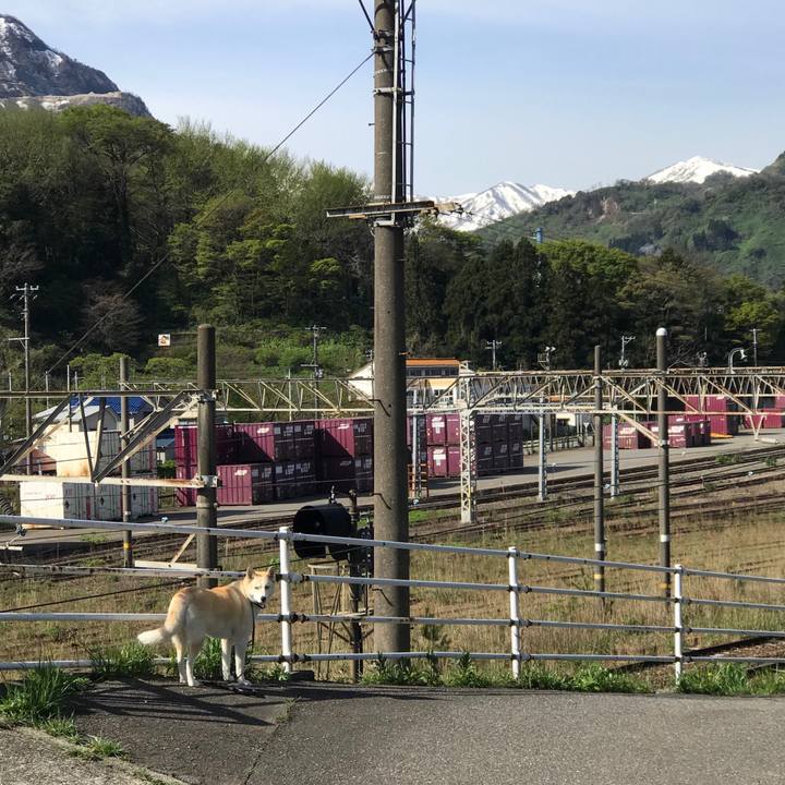 83a3fb22 2aa8 4ac0 a23e fe28501e23a3 1556409538988