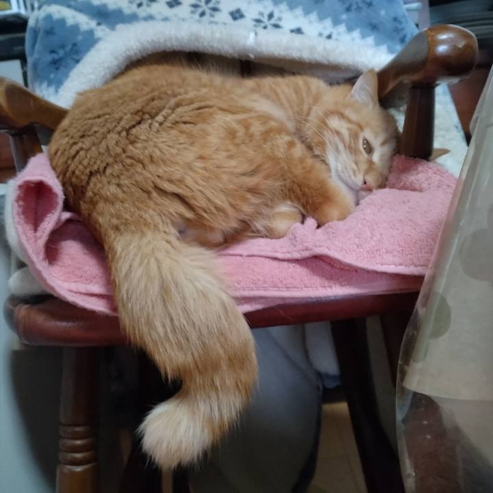 83a40ee4 81b1 475a 8253 45e382a12c0d 1676506932463