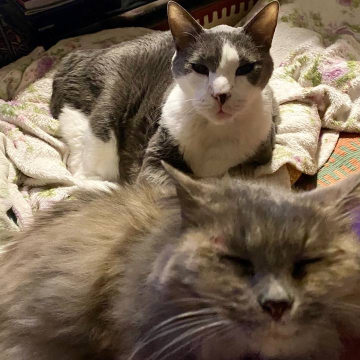 83a41290 96d3 4d97 bc12 033f995d6620 1767000744378