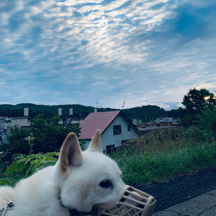 83a41dd5 6447 4271 aadf 1cb3060c6f28 1597958335790