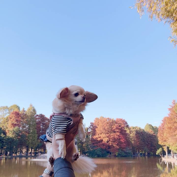 83a430cc 5960 4e93 bf08 88de4006acb0 1732270531644