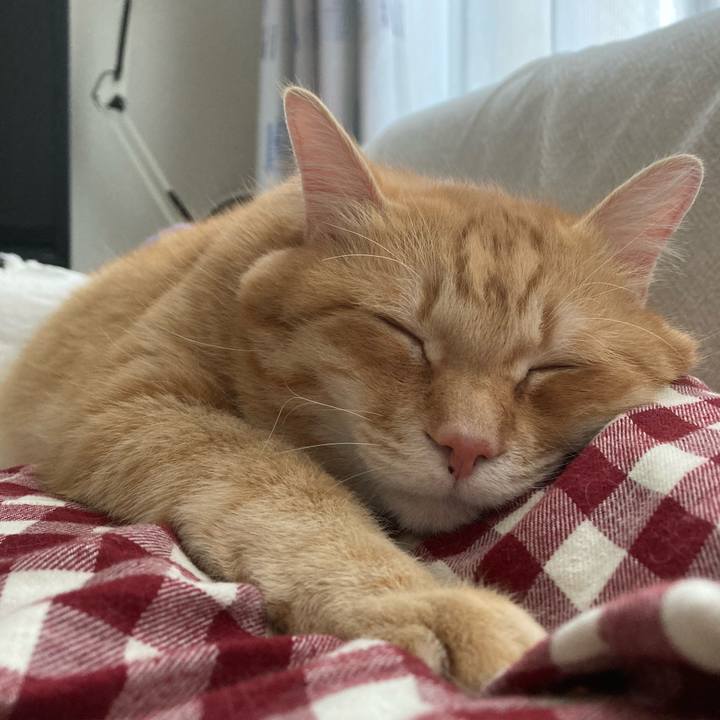 83a449dd 9b11 4ea2 8045 d42a25d62d10 1768187148684