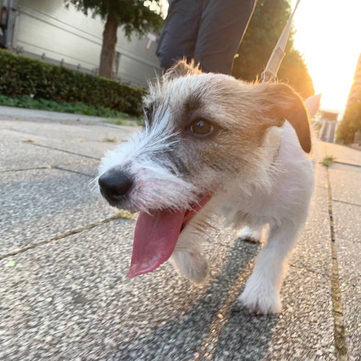 83a4658e 7099 4405 8147 85b048d5c8df 1566741875184