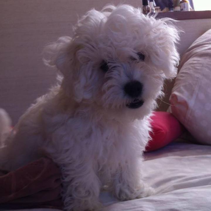 83a49168 4872 485a 9519 e9bae405f2dd 1558413834623