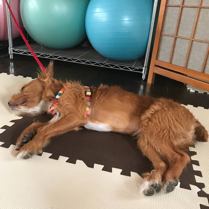 83a541e2 5f46 400a aac1 5bd11619887a 1536034705042