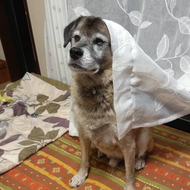 83a55e5a 8e41 41d5 820d 6305fa1994e9 1569416755895