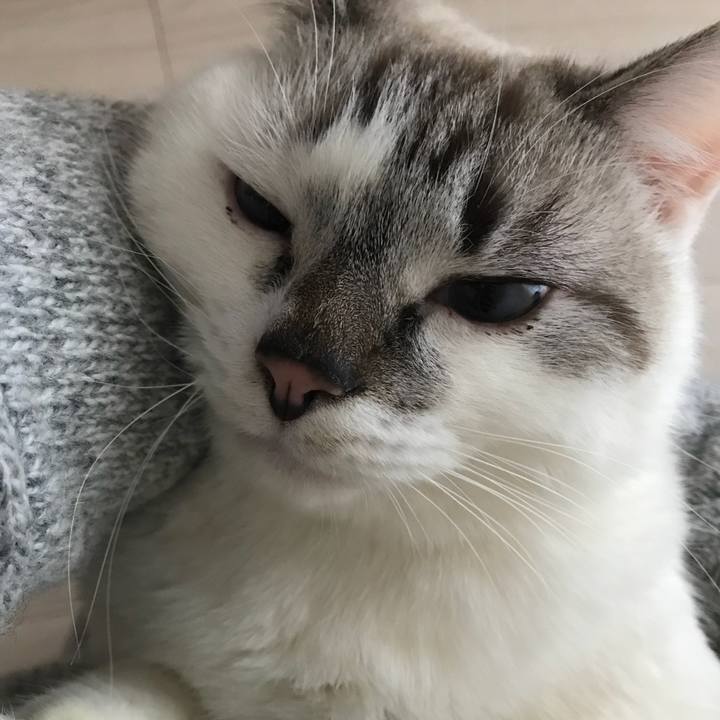 83a560ad 121f 427b 846e e80e6ba850eb 1511584801552