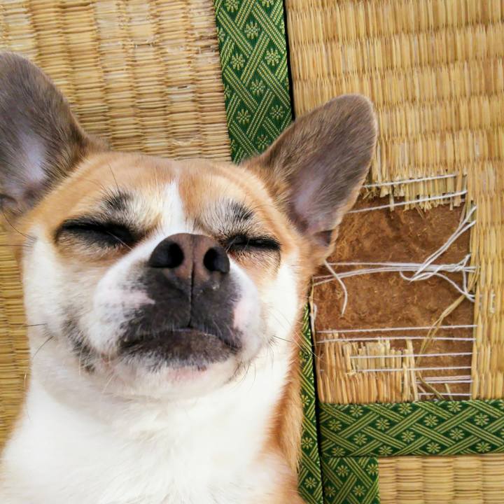 83a565aa e9cd 4dfc a24c 4ebad0728b68 1590959604899