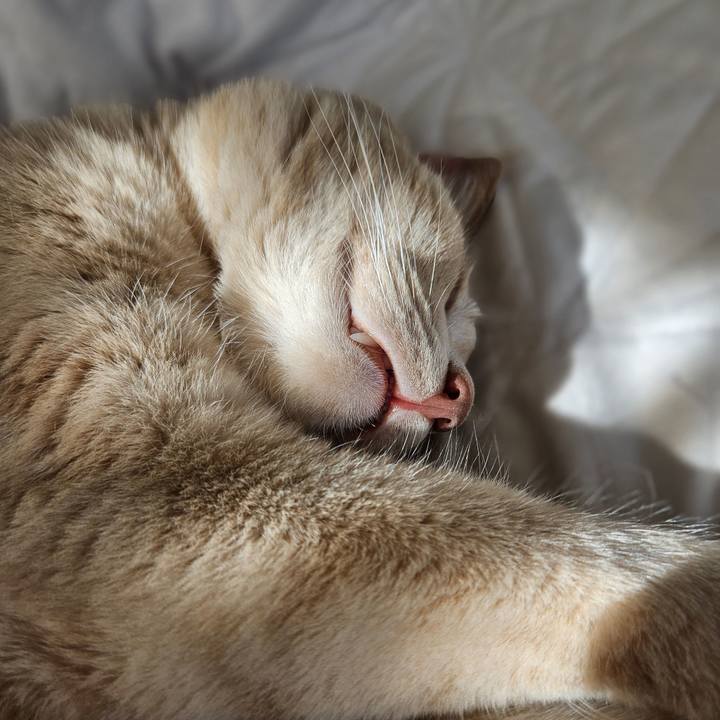 83a5a705 0fce 4109 a9b9 b849ee985499 1694321798987