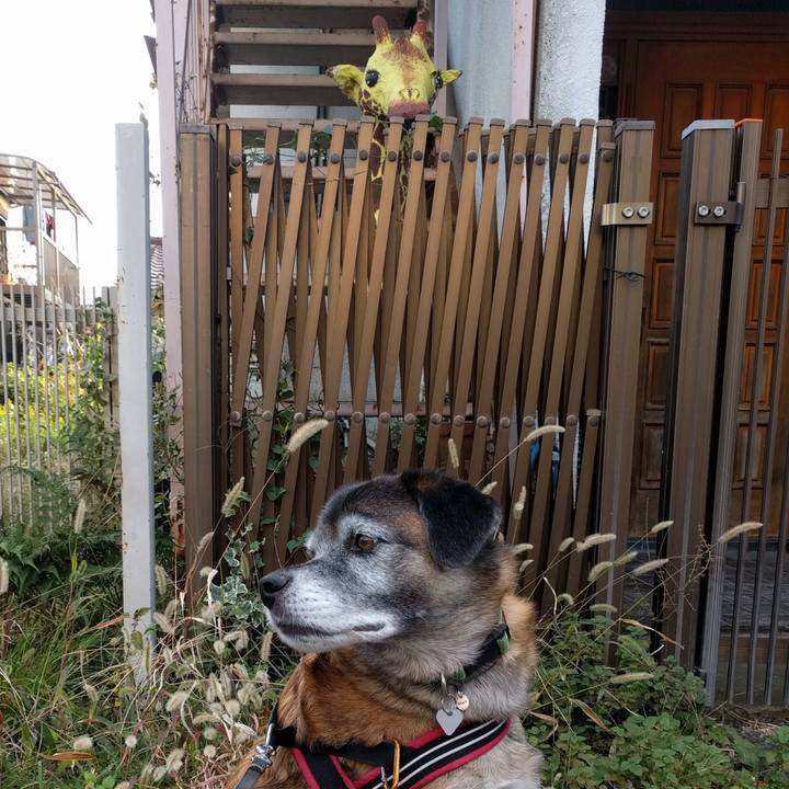 83a5f586 4664 4e23 a452 597dfc3eaa8f 1686889176333