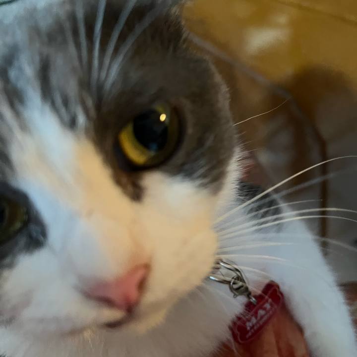 83a63b4d daa2 48ae 83a3 2f9d9f772251 1765592017943