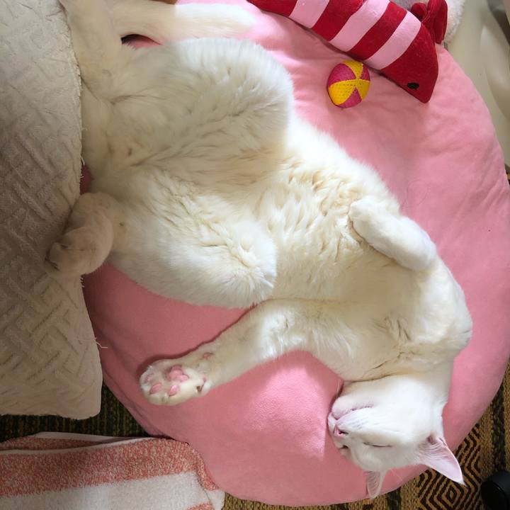 83a6a189 24d4 438c 8d2f a6b77cf95a3d 1608975205670