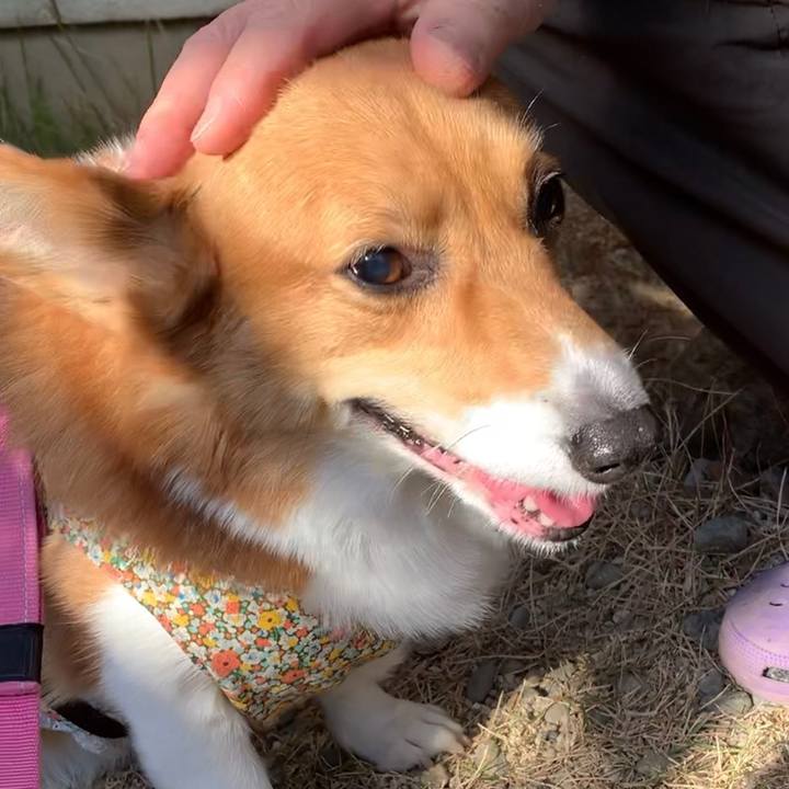 83a6c09d f1c6 4963 85af e31694f1352e 1668834447701