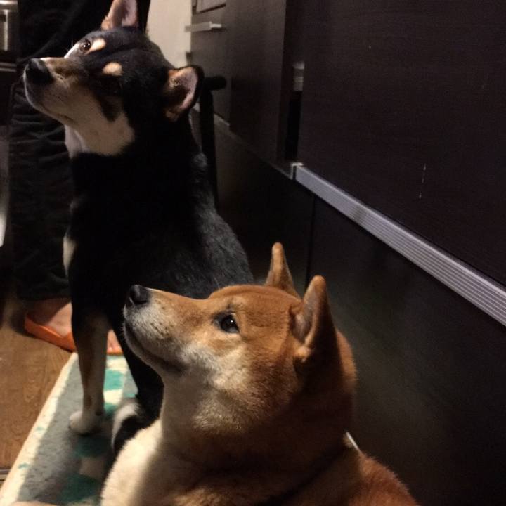 83a6cbe4 6aeb 4f78 8dad e93f8c6f3eb2 1516055441929