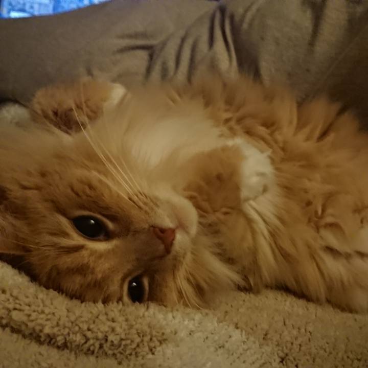 83a6e724 cb7f 491d 9483 a16abdc8189c 1549633896578