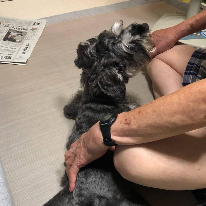 83a6f1ea d3fe 46a4 9528 7500e501cbdd 1629719580721