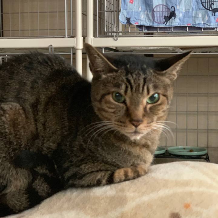 83a703dc d354 4274 ae33 d01ae2399ea9 1557017766776