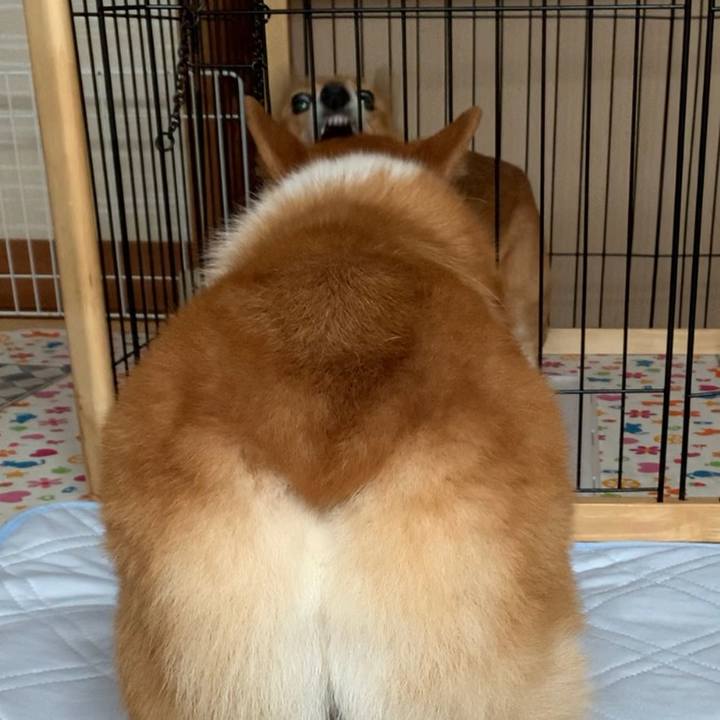 83a70583 fda4 43a6 b1fc c285c959d931 1628400155345