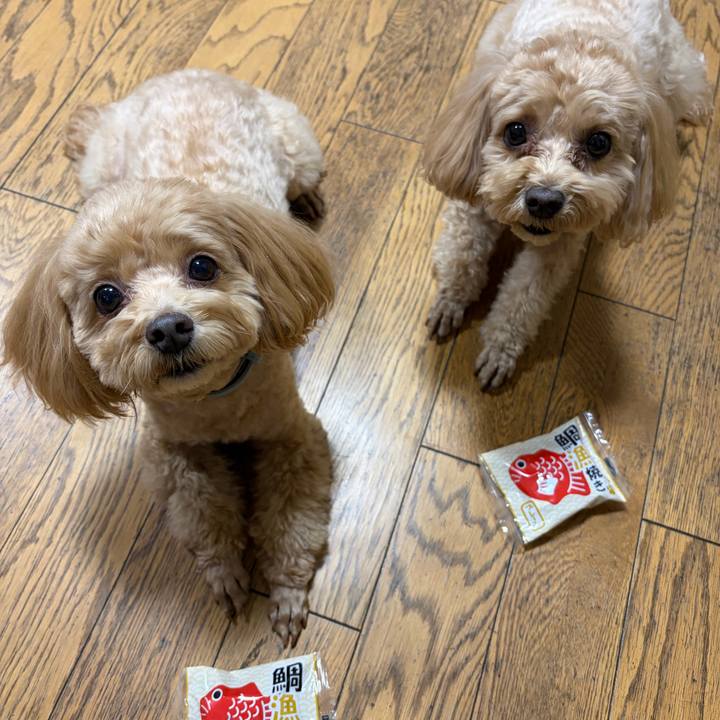 83a7586d 2bb2 4e48 b30d 4a7b343666e1 1767520064462