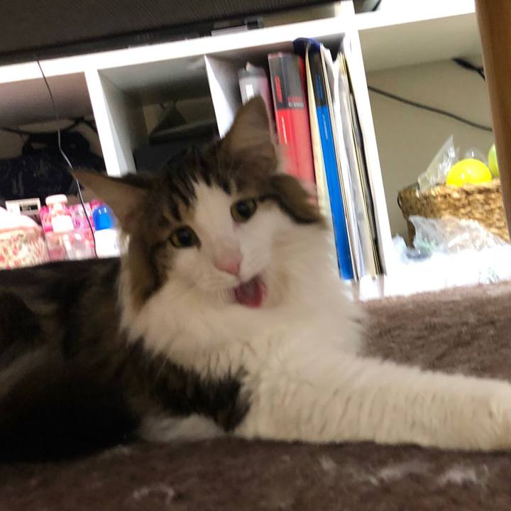 83a771fa ea4d 4afb 9923 0199b7d9bba7 1556603738935