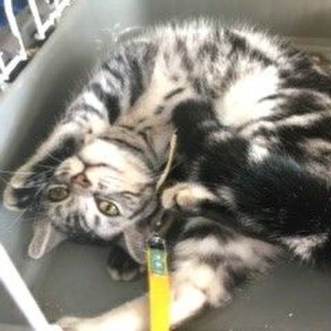 83a787cf 3242 4ba1 8613 320b6c01b78a 1543102858822