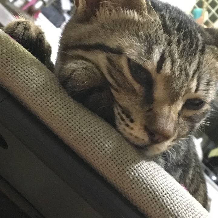 83a7d630 e6d0 4fb6 a532 5287a411f0e4 1537446271274