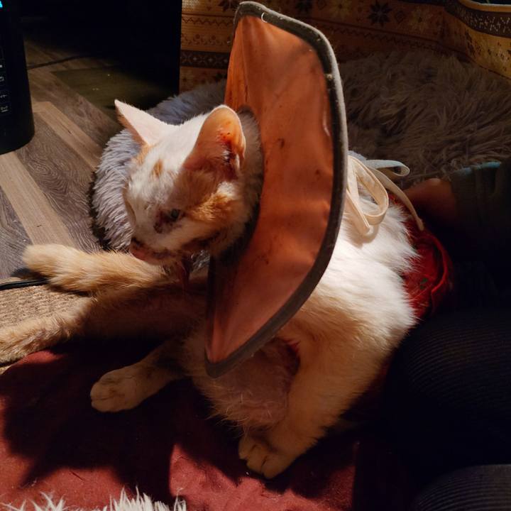 83a7e4c8 1158 46cc aa4a 0af6e9190f1b 1767523515163