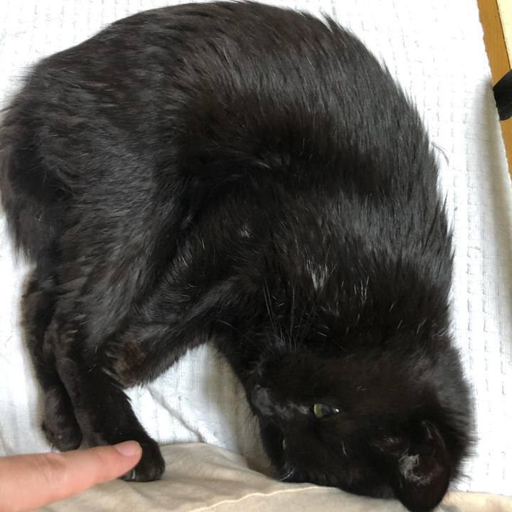 83a7f1c6 5f02 4361 993f a3143a87a148 1633355533228