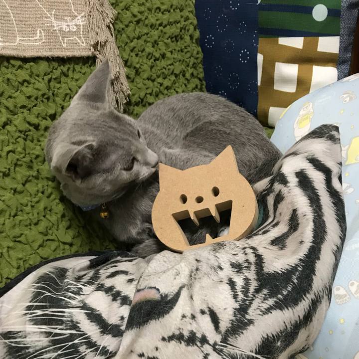 83a7f9db eb0f 49b0 bb0a af8cce91d39f 1509446207353