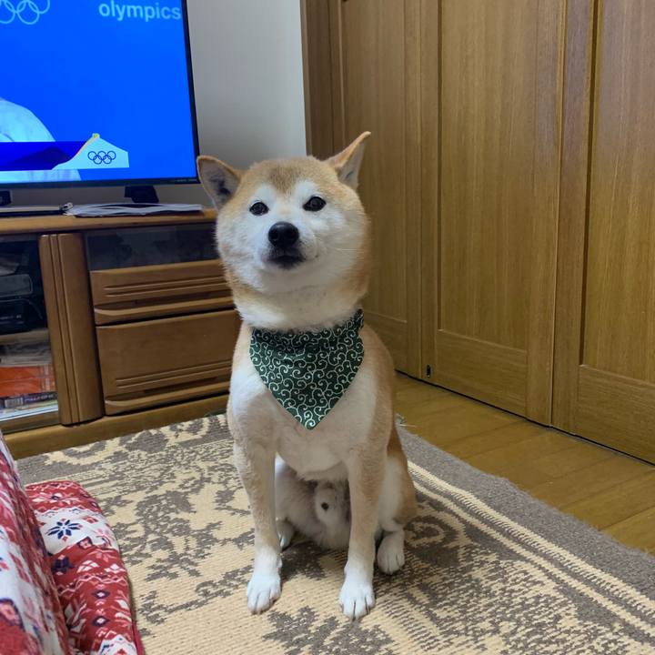 83a82466 c29d 4f24 bb01 73fe7e75812b 1645179687411