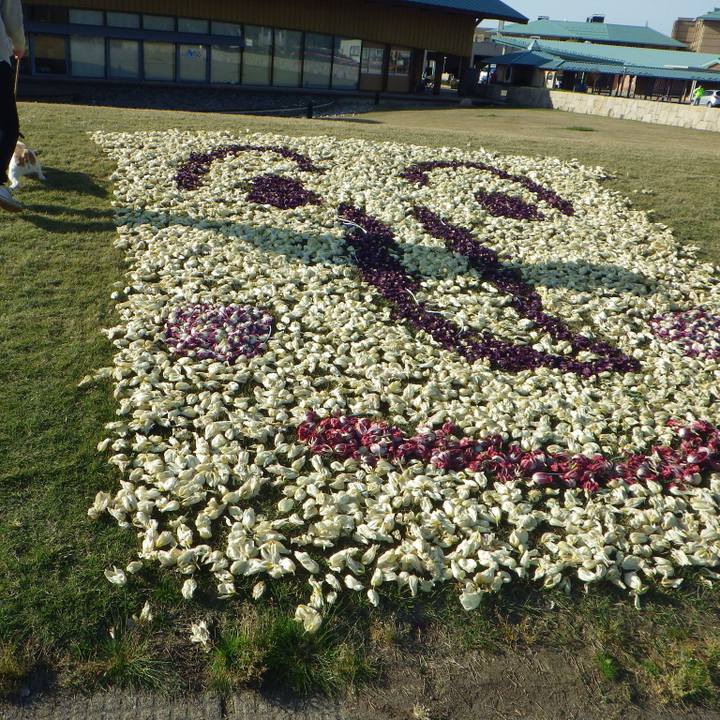 83a87aef 07fc 49cd 8813 821732dadac7 1555848005787