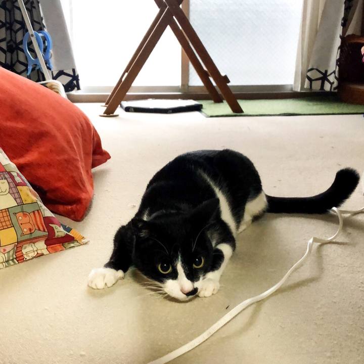 83a8849e e506 4c9f bb4f 96ec1d0c1228 1547162067695