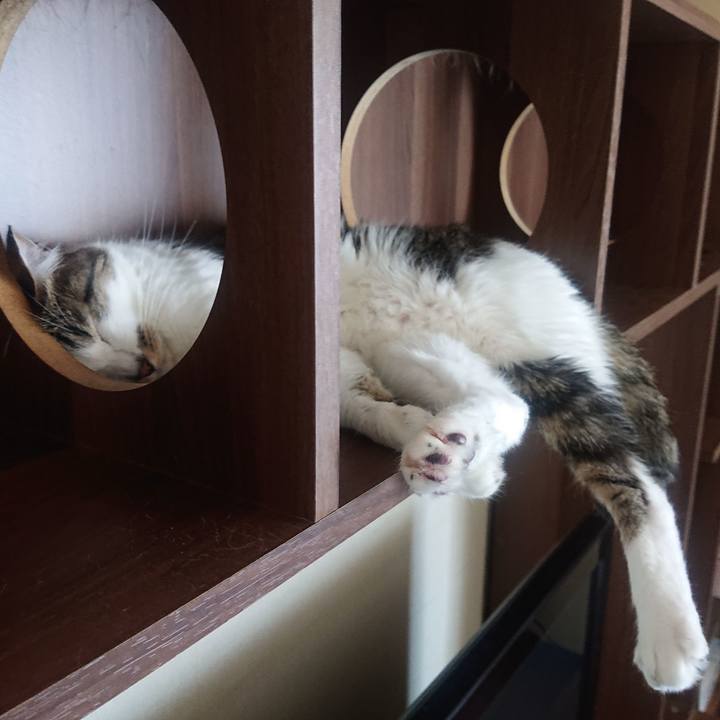 83a8884d ed75 40e5 be08 9de6aa1f7851 1722481336599