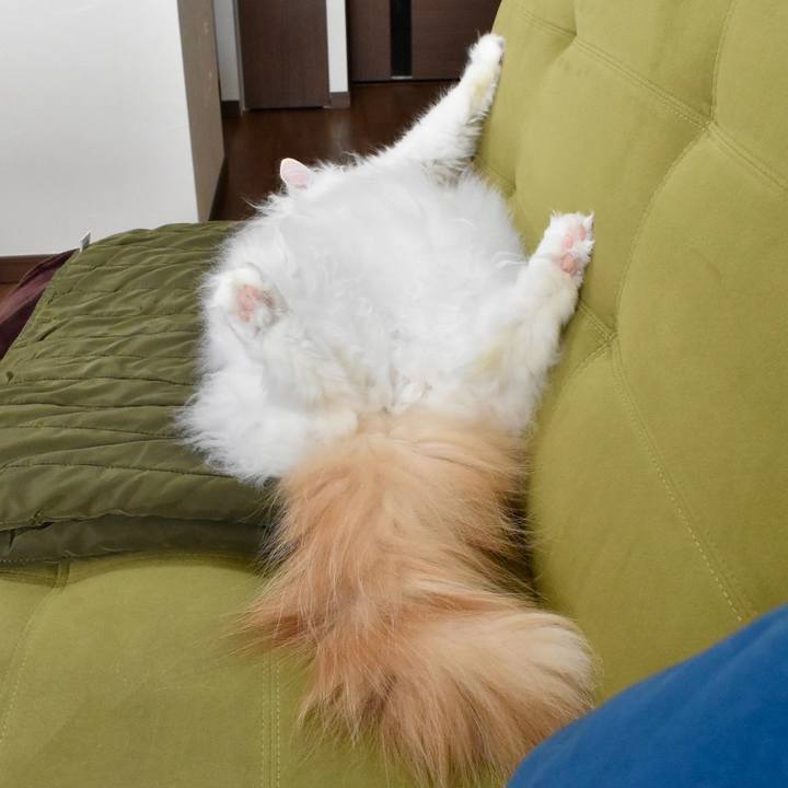 83a8b497 3944 40a8 b6ea a17c5b1546aa 1764906767697