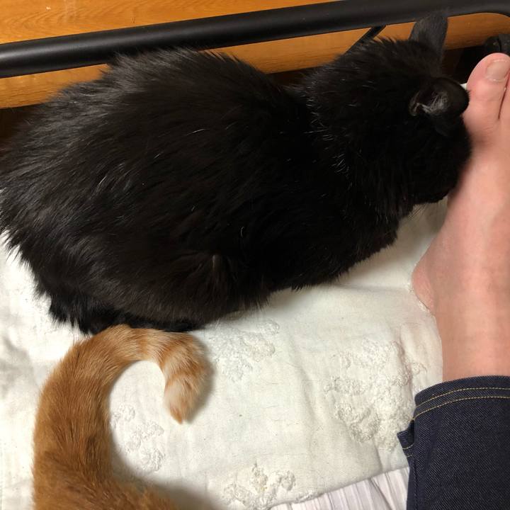 83a8b86d 0dc8 4e2f 9554 66780e9aa4af 1616752161021