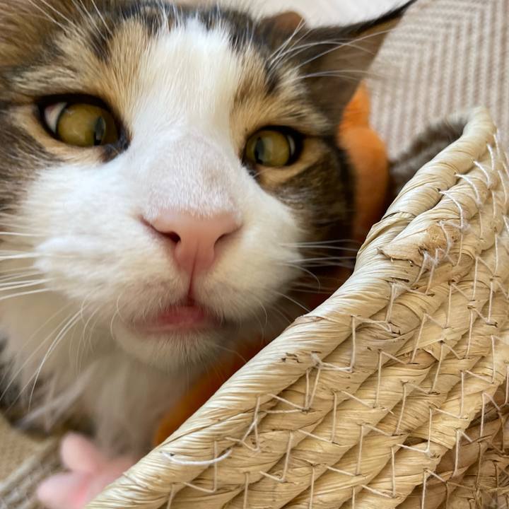 83a8c5d3 149a 40e2 9eec 8e03211a3d74 1650757267128