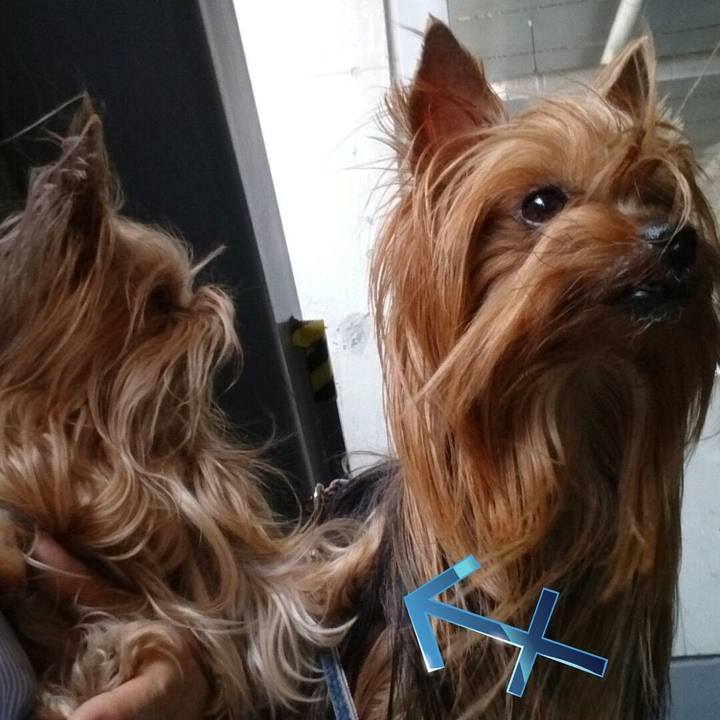 83a8da7a 14d4 4266 83f7 8ca99f52ee7e 1556960733518