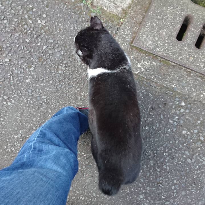 83a90b11 d4c7 4c2c 81e8 f9ff968742b9 1675725969253