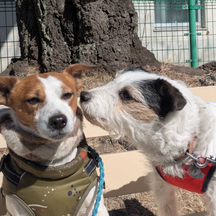 83a95e53 671a 4c72 8bd1 3bff216a1cf7 1771474324410