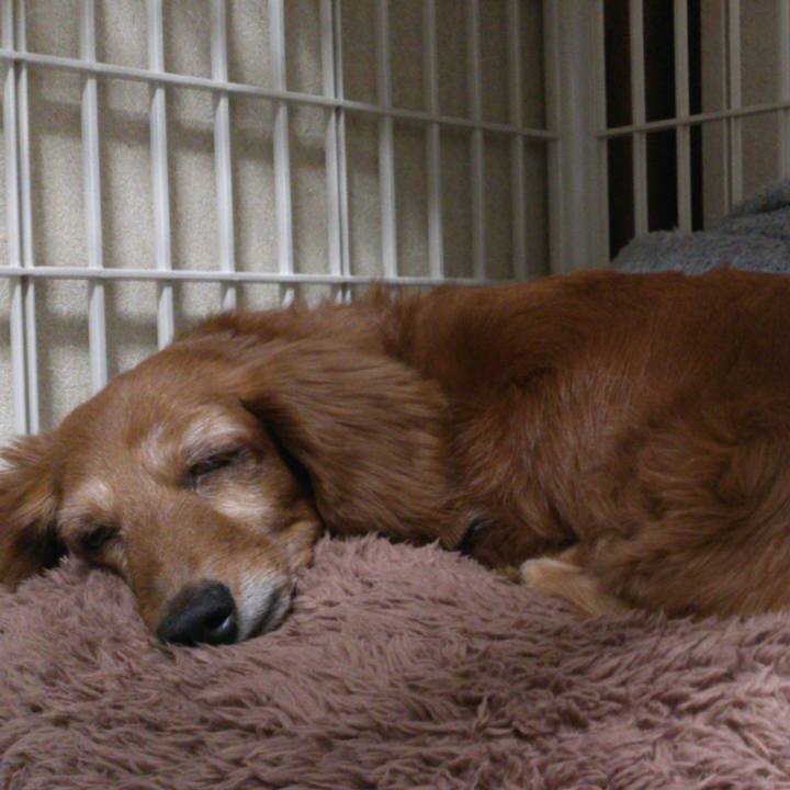 83a9686c 50db 4cf6 ac53 81578af5cc66 1610295146544