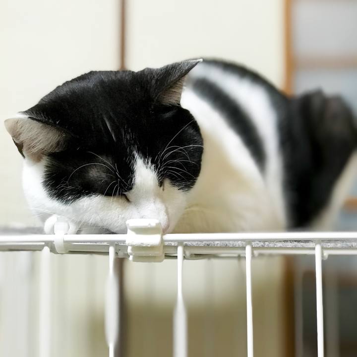 83a97681 e685 4220 a19a eb37610cde56 1516236412247