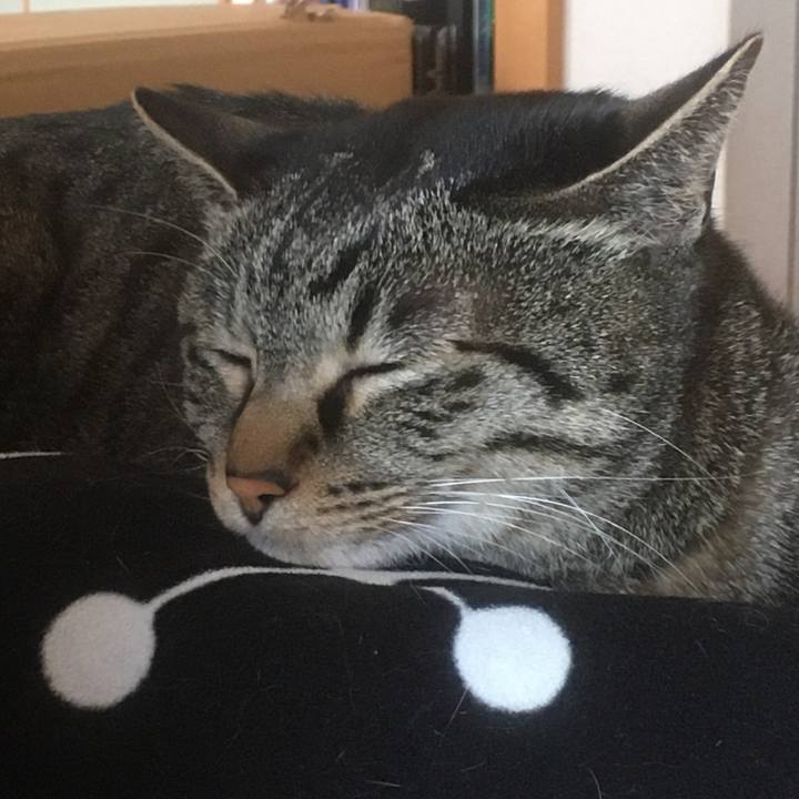 83a99021 067f 4408 9096 4e62fde6ab72 1581853489689