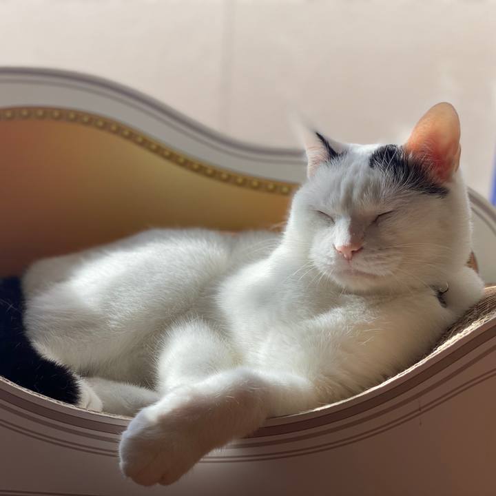 83a99fdd c03b 4078 90c2 7f93abebff80 1597190379882