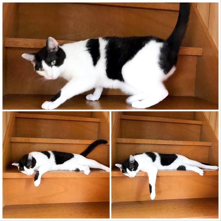 83a9a4af 4bfa 4132 8703 24c0cfd6a360 1530796861896