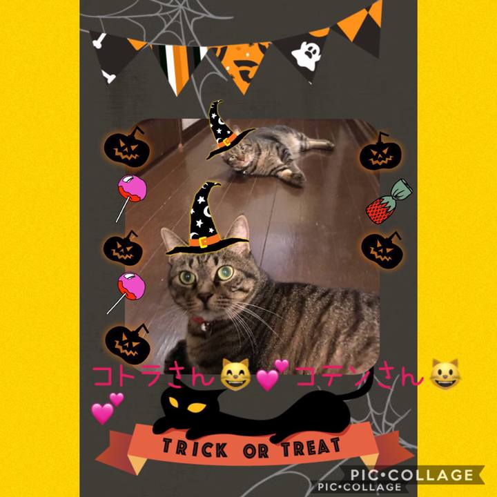 83a9a969 e797 45b8 b92b fd0b91949831 1572280135952