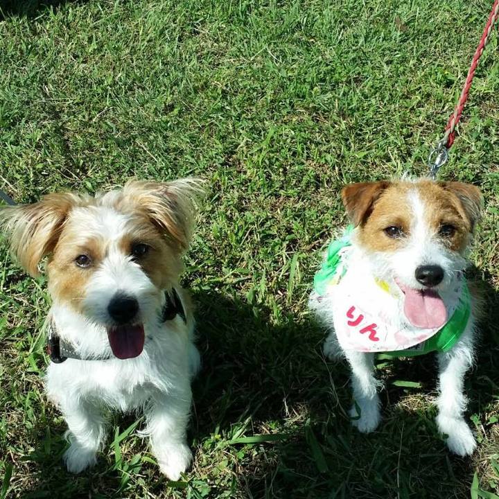 83a9c69c 13a1 47f6 8a45 4517429a243b 1733393088532