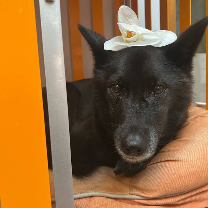 83a9d939 4ca7 4e9d 9dc8 213b91cd84bd 1753837625037